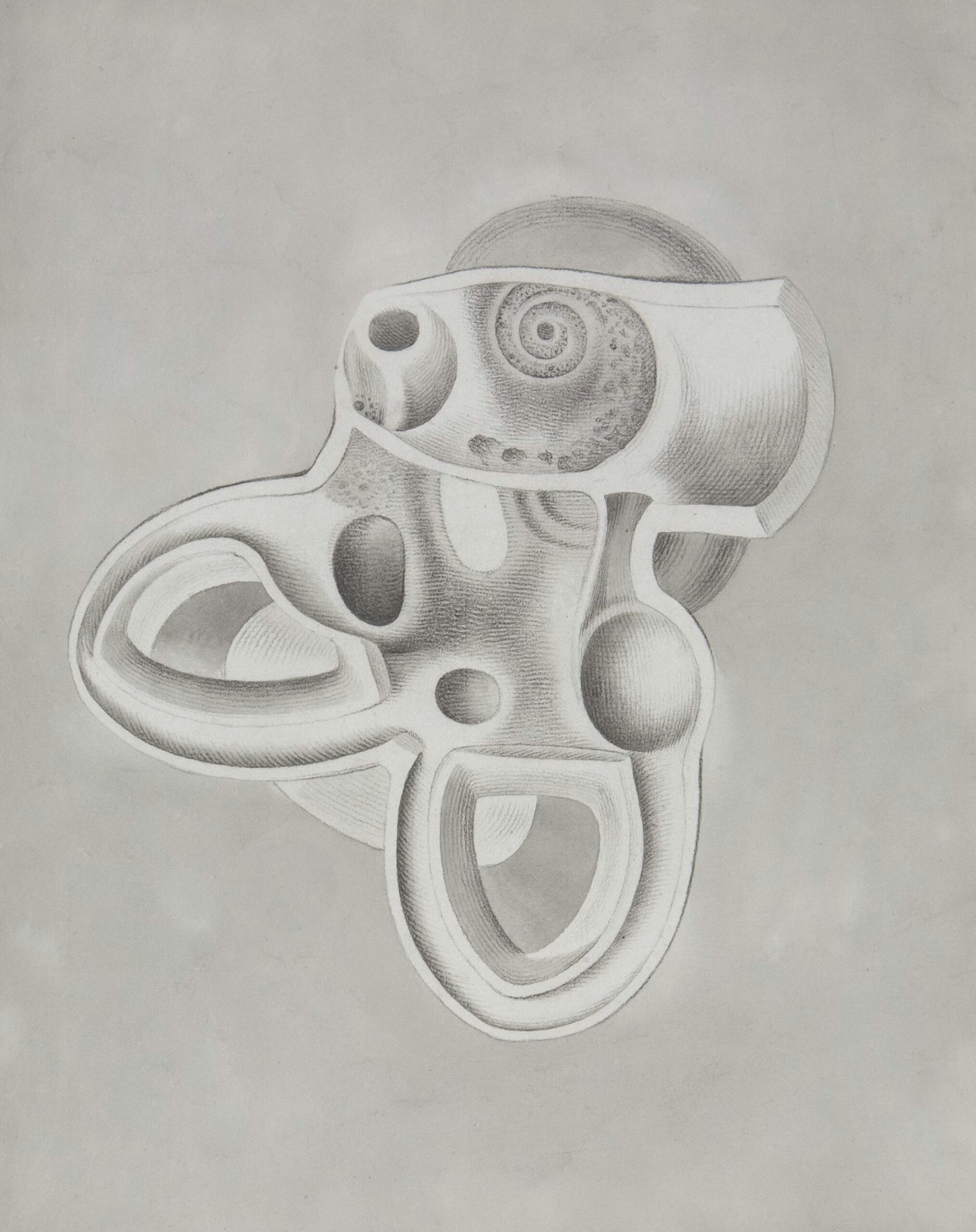 Anatomie de l'oreille interne — canaux semi-circulaires